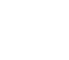 Downlowstreetwear 